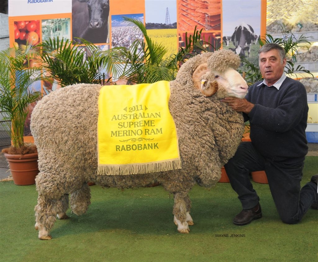 2011 GLen Donald Aust Supreme