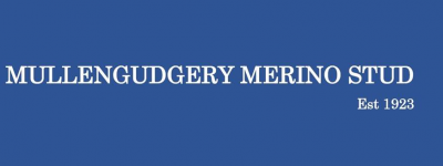 Mullengudgery