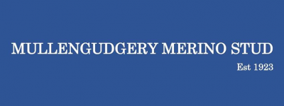Mullengudgery Poll