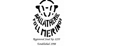Ballatherie Poll